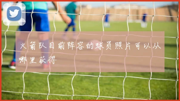 火箭队目前阵容的球员照片可以从哪里获得