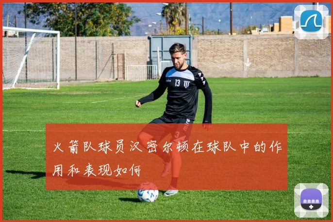火箭队球员汉密尔顿在球队中的作用和表现如何