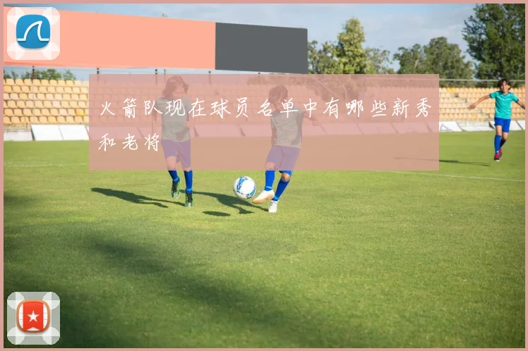 火箭队现在球员名单中有哪些新秀和老将